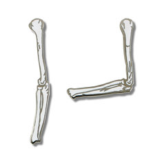 Lanning Stern BONES Earrings jewelry acme collection